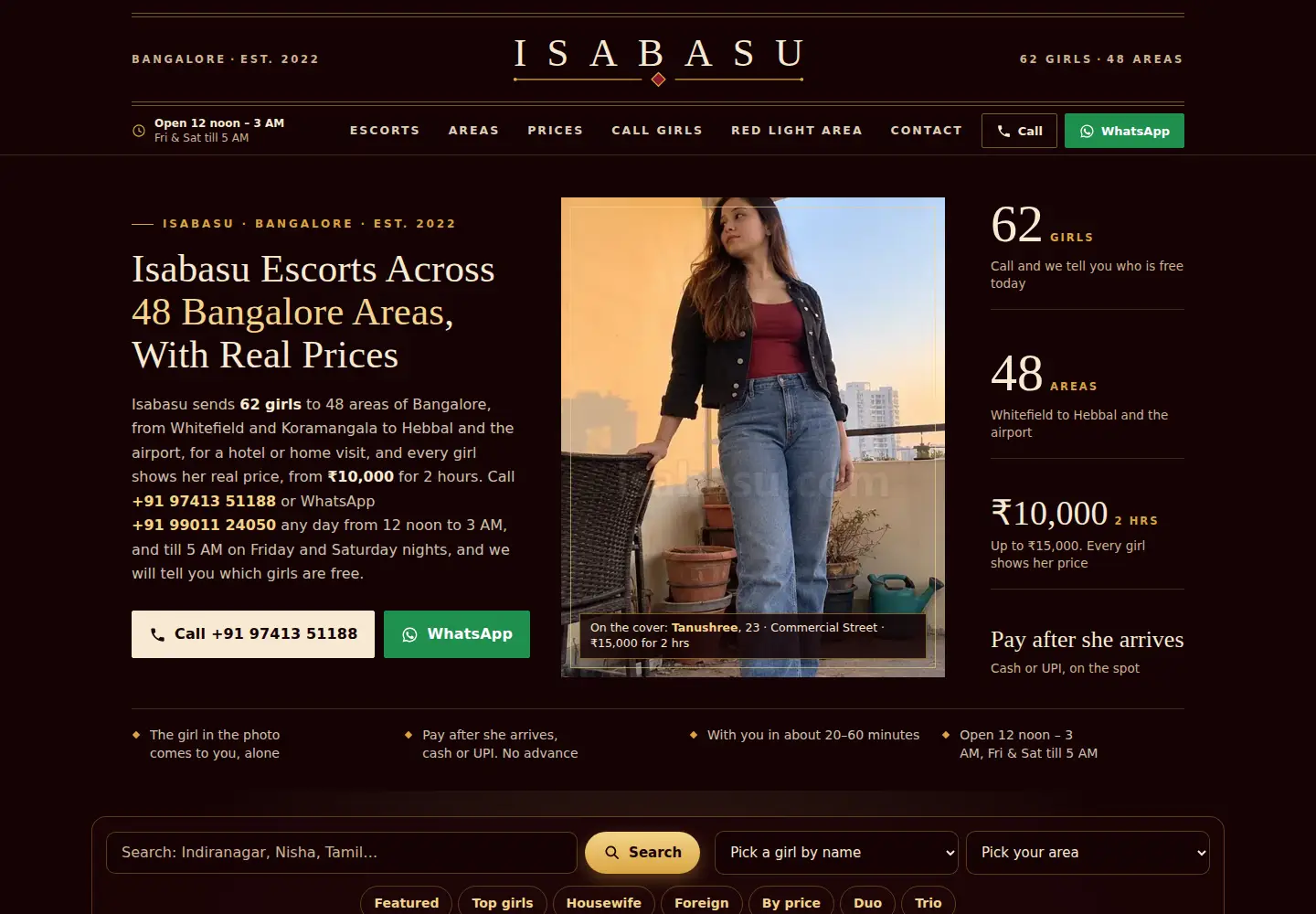 Screenshot of isabasu.com