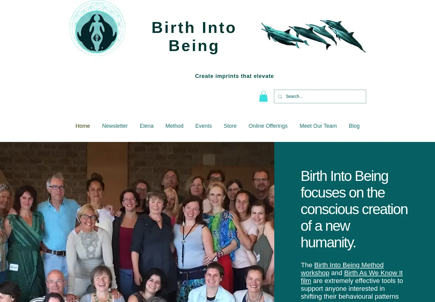 Screenshot of birthintobeing.com