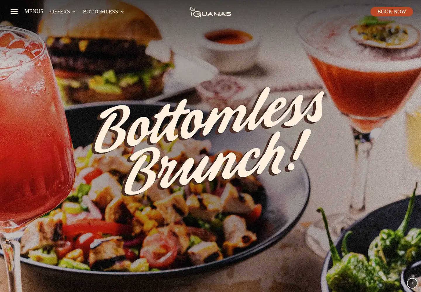 Screenshot of iguanas.co.uk