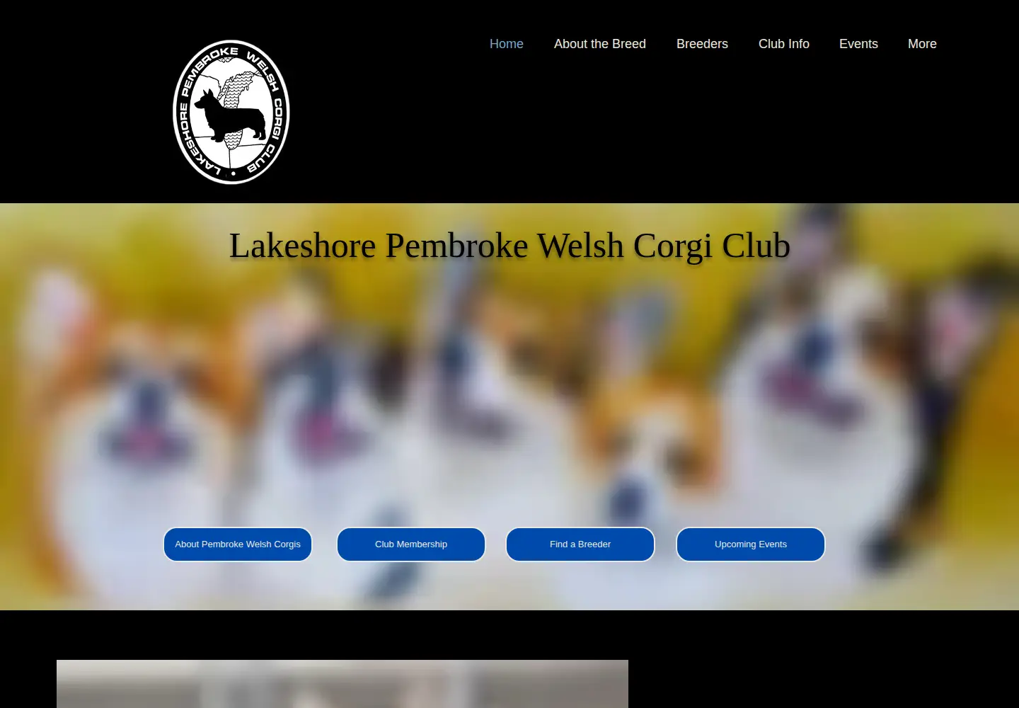 Screenshot of lakeshorecorgi.com