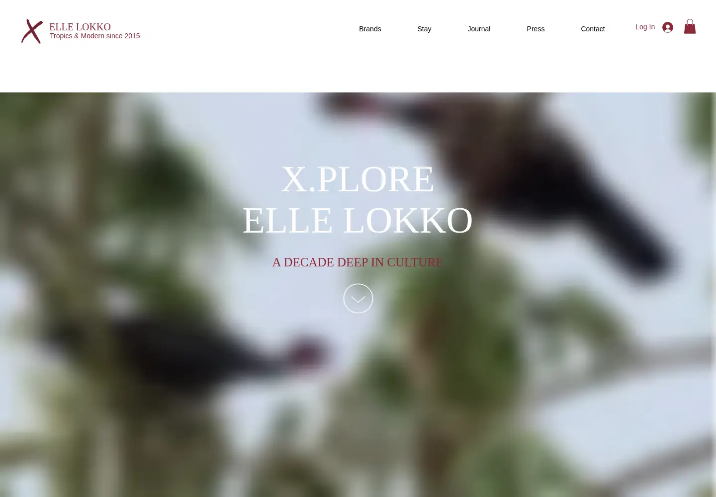 Screenshot of ellelokko.com