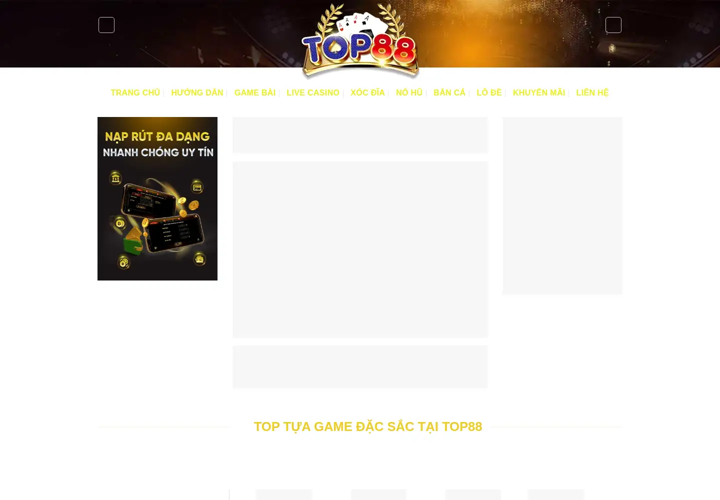 Captured homepage of top88t.org in the current scan