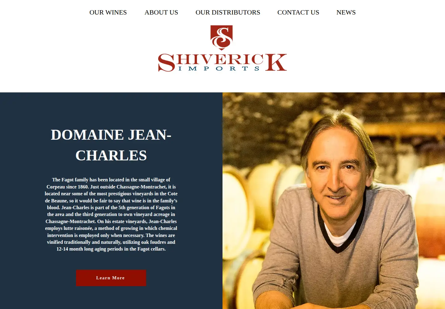 Screenshot of shiverick.com