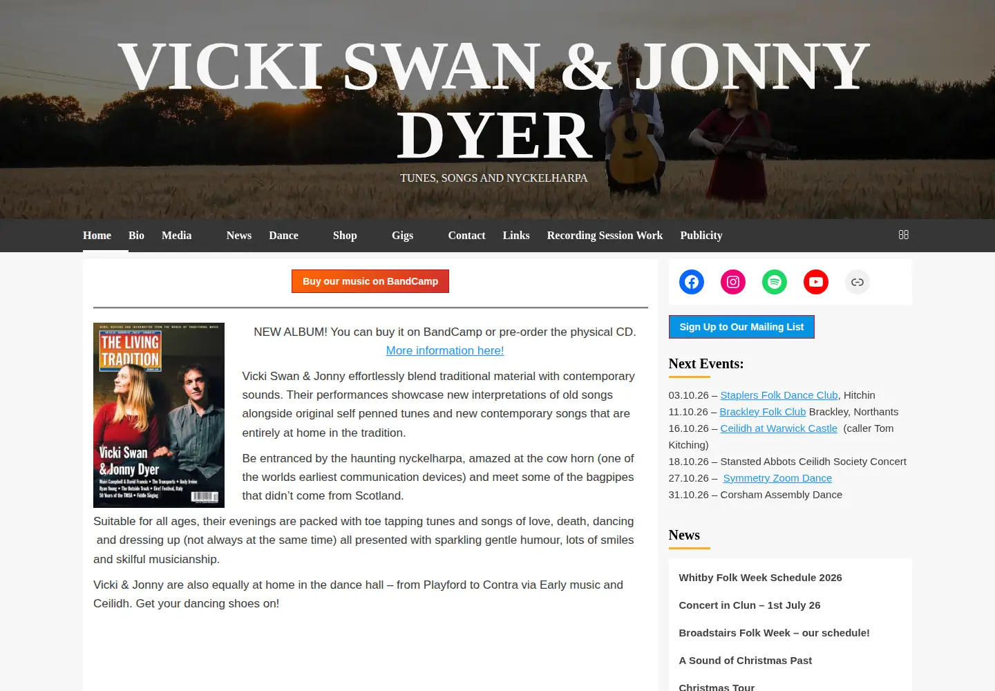 Screenshot of swan-dyer.co.uk