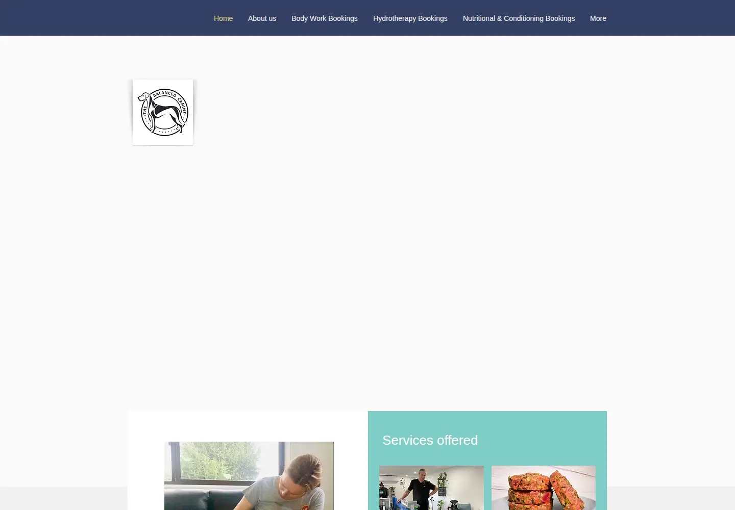 Screenshot of balanced-canine.com