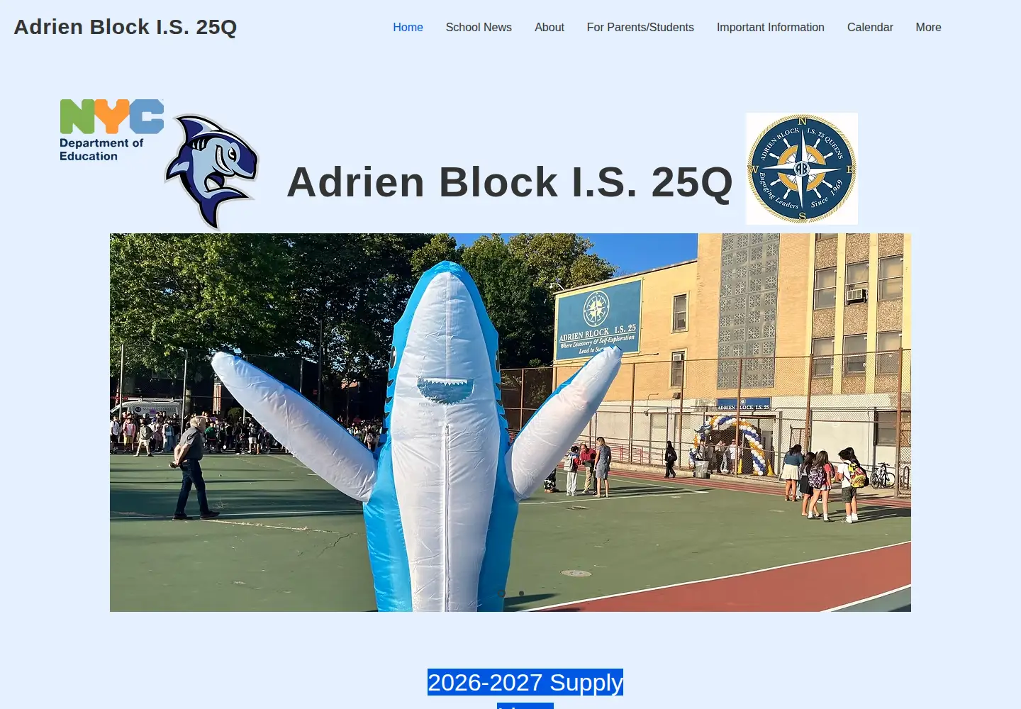 Screenshot of adrienblockis25.com