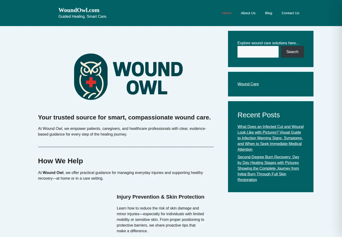 Screenshot of woundowl.com