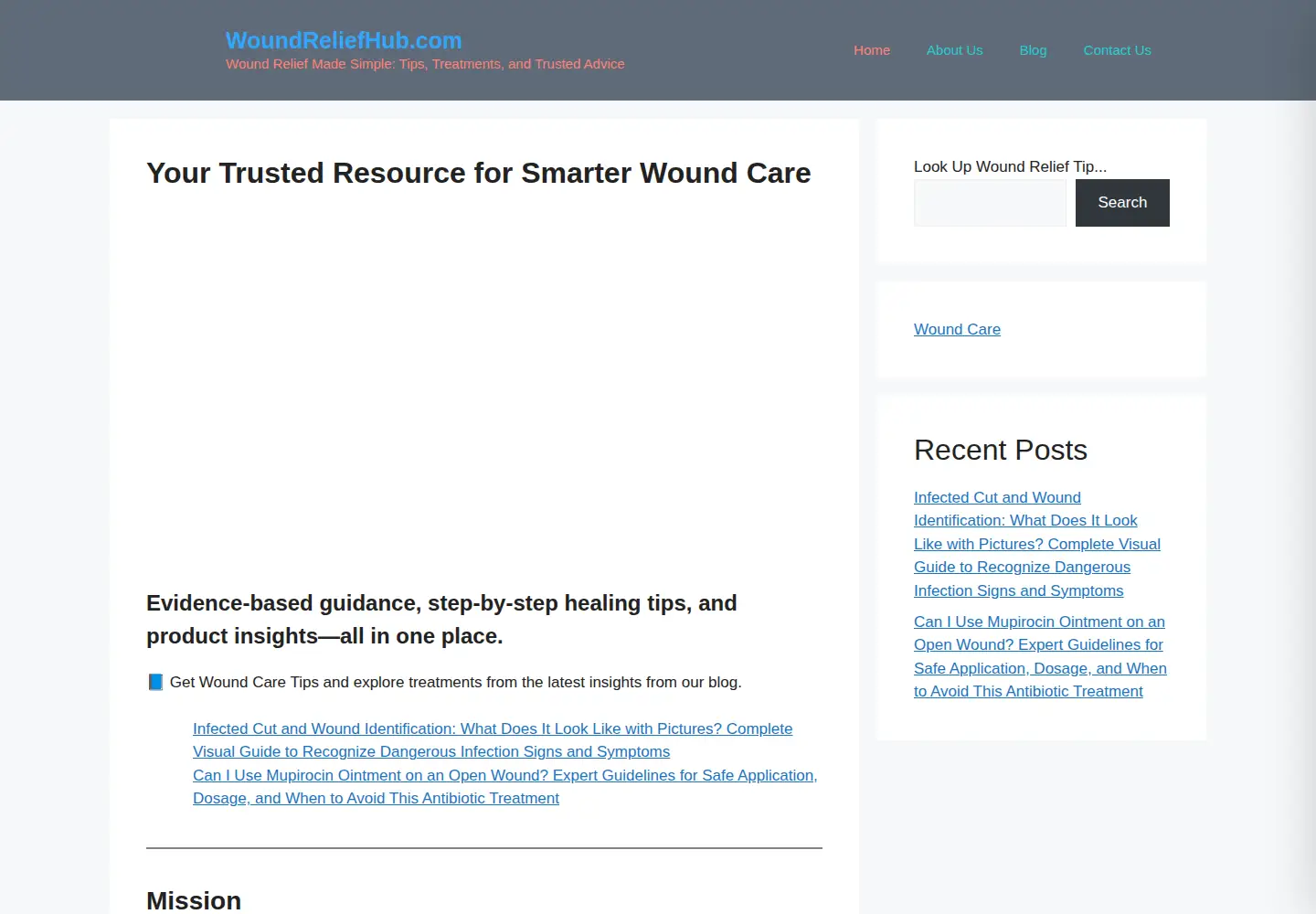 Screenshot of woundreliefhub.com