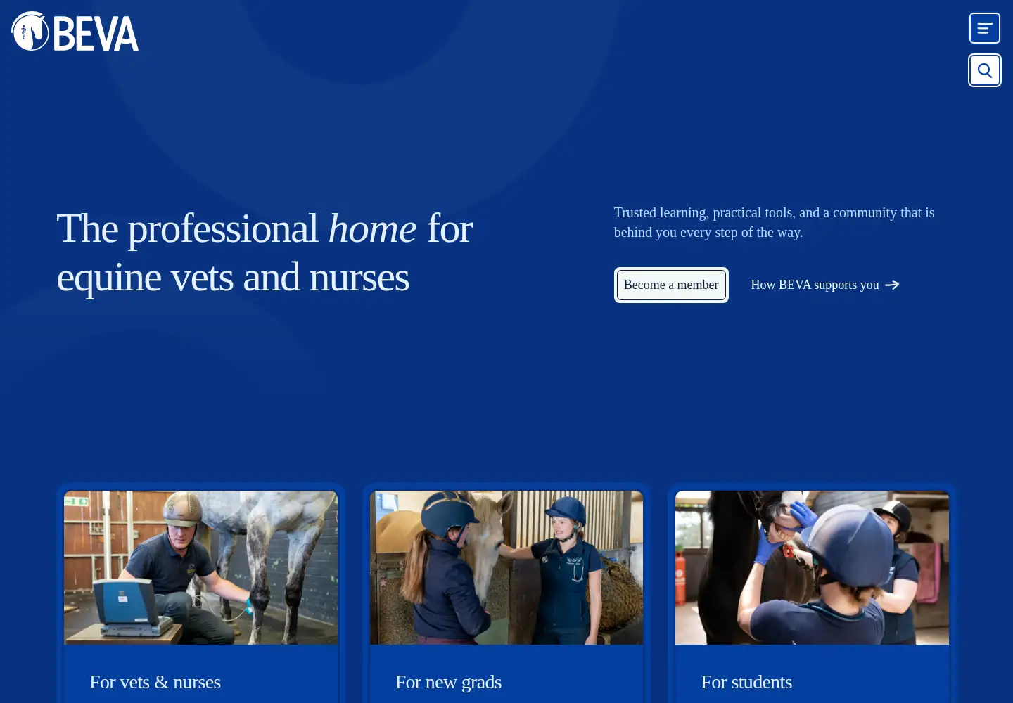 Screenshot of beva.org.uk