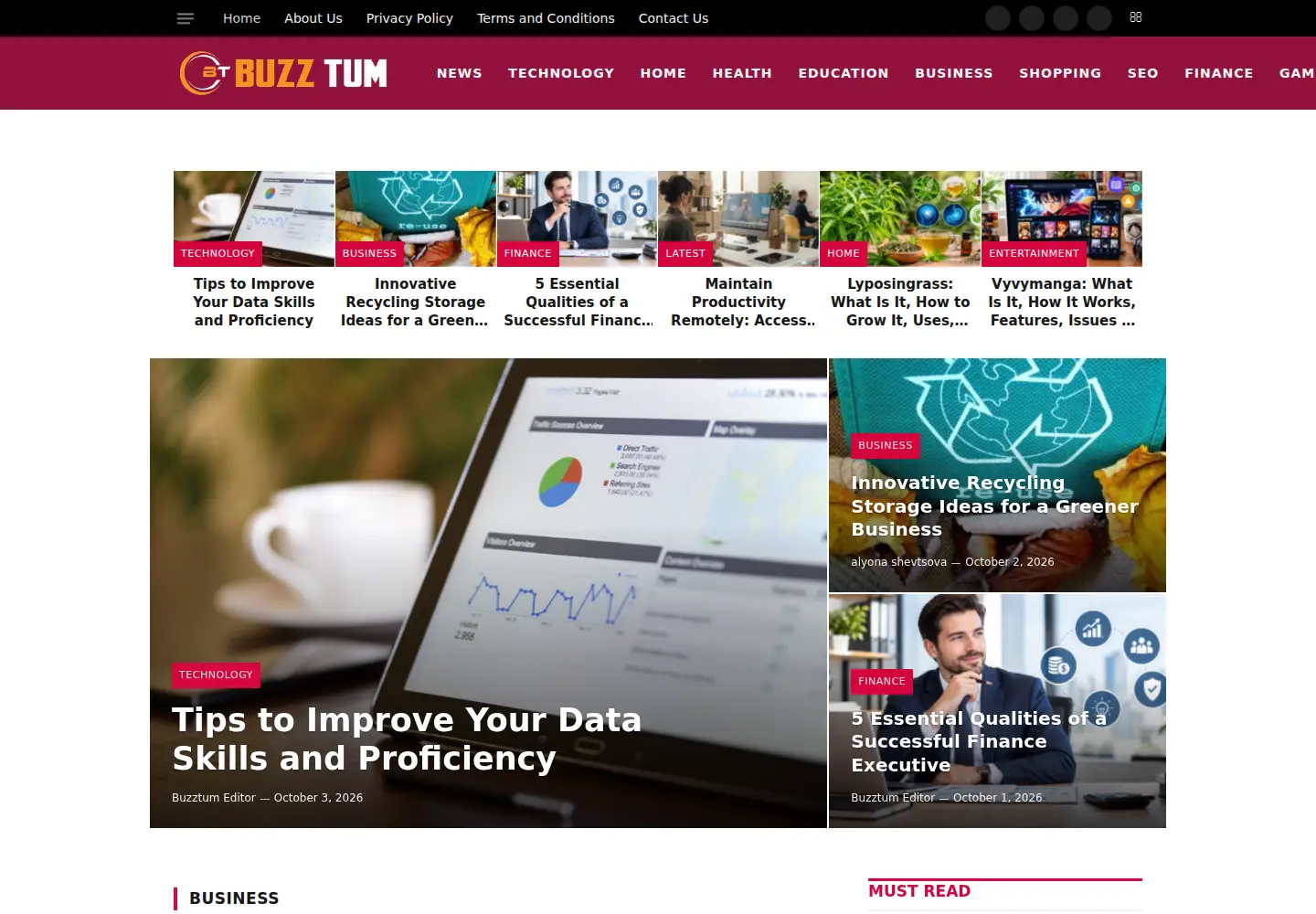 Captured homepage of buzztum.com in the current scan