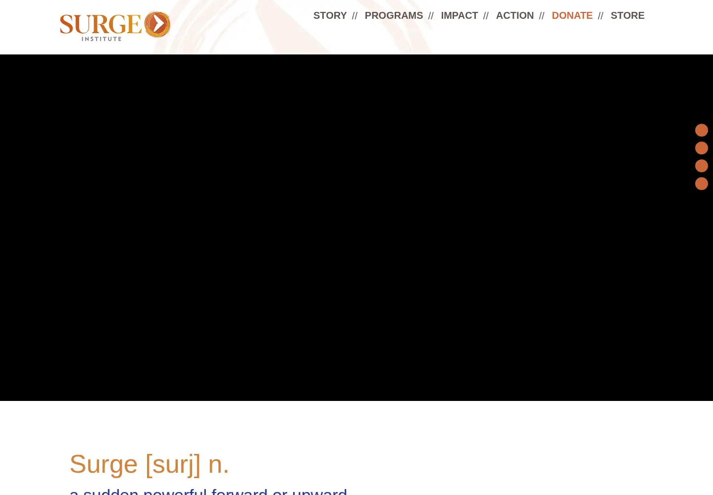 Captured homepage of surgeinstitute.org in the current scan