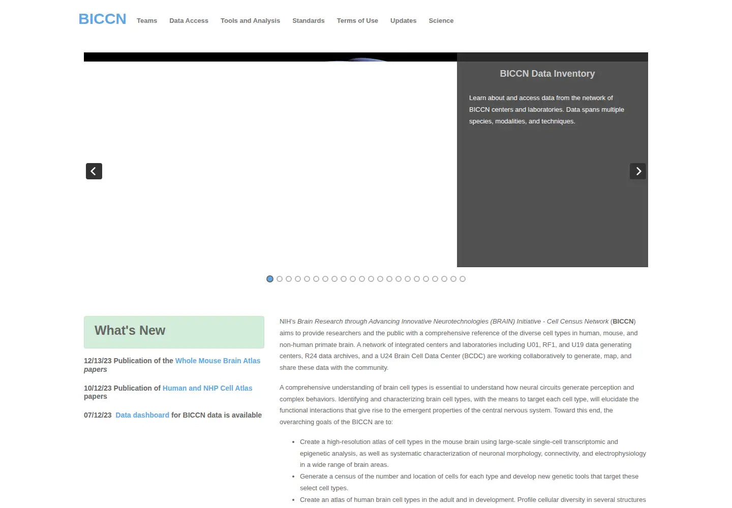 Screenshot of biccn.org