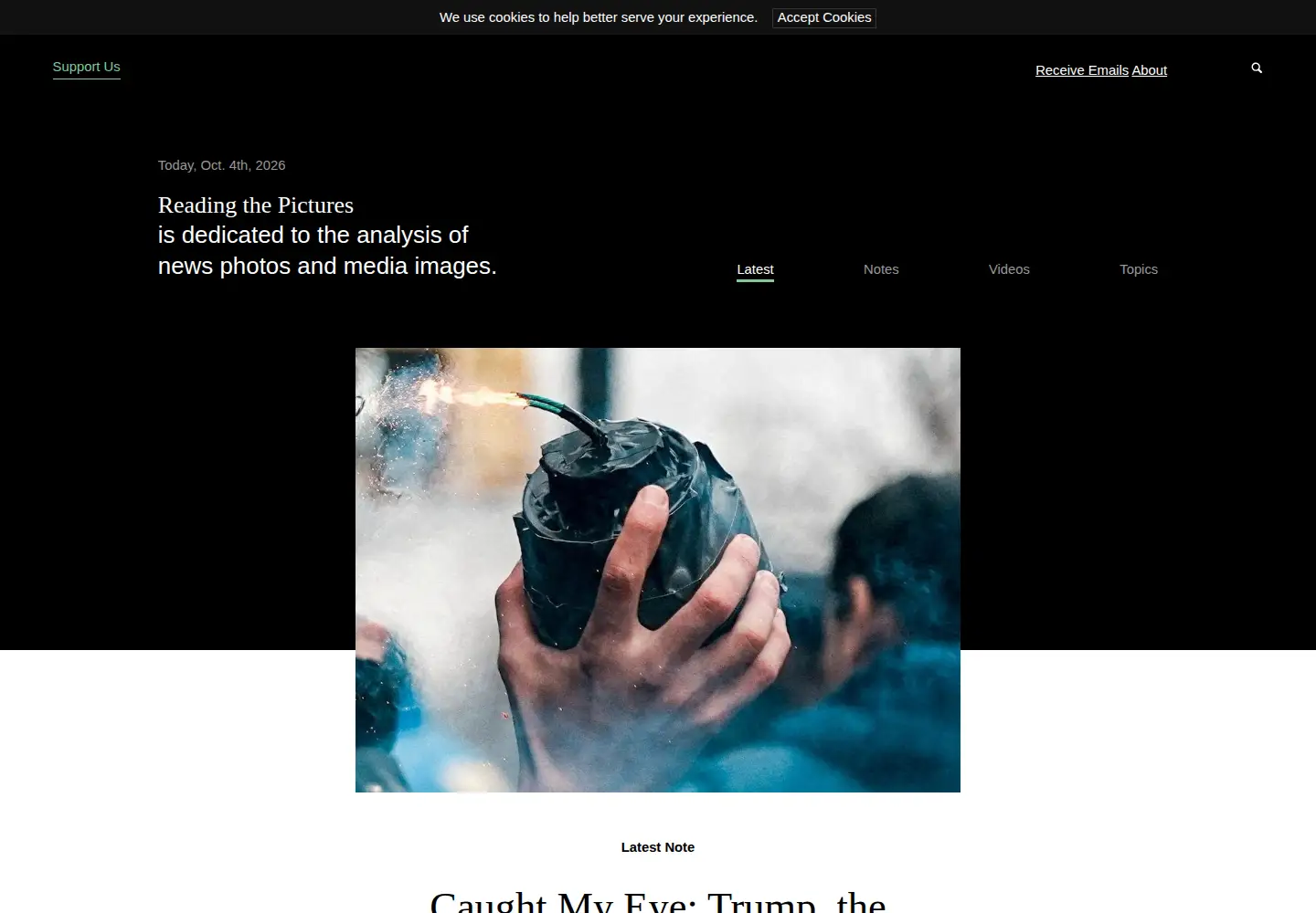 Screenshot of readingthepictures.org