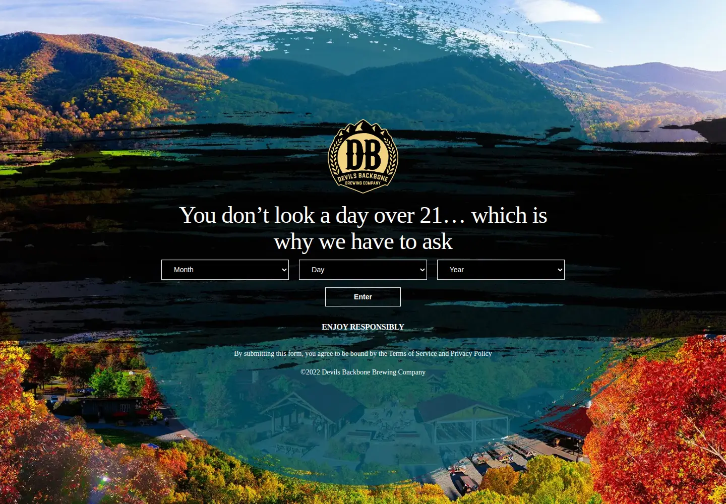 Captured homepage of dbbrewingcompany.com in the current scan