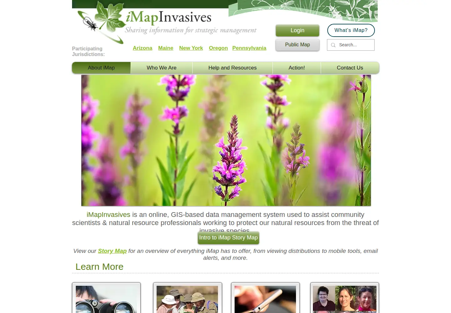 Screenshot of imapinvasives.org