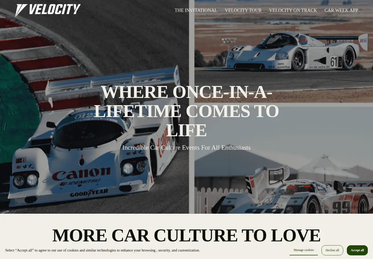 Captured homepage of viavelocity.com in the current scan