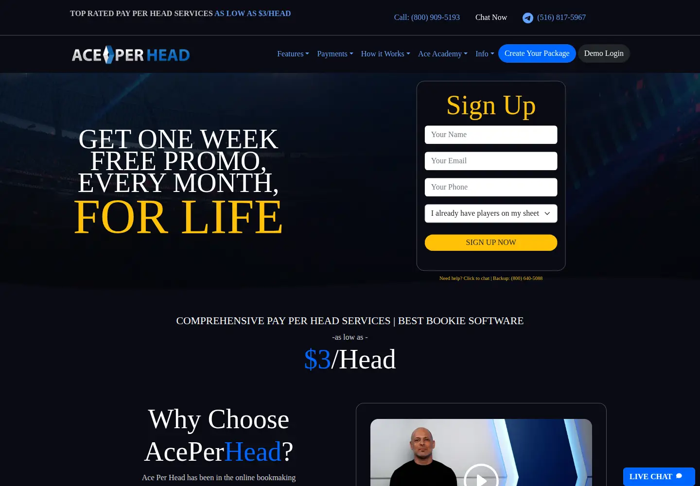 Captured homepage of aceperhead.com in the current scan