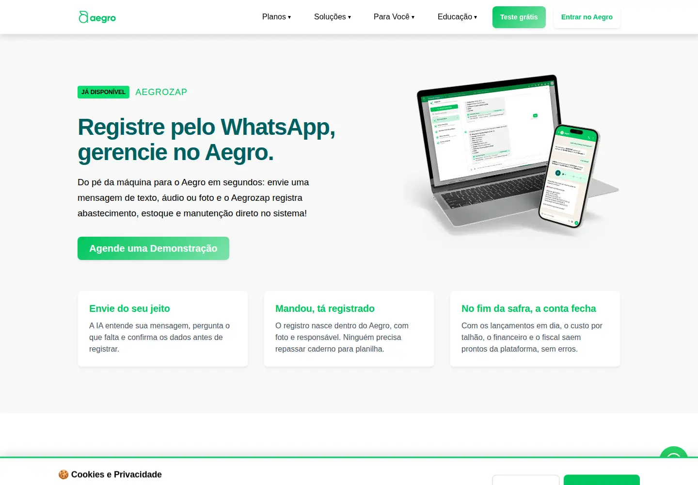 Captured homepage of aegro.com.br in the current scan
