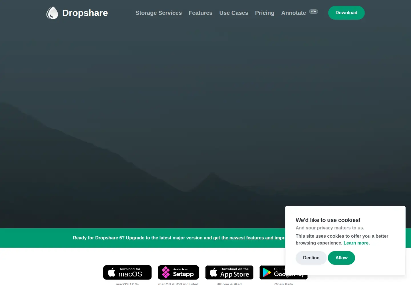 Captured homepage of dropshare.app in the current scan