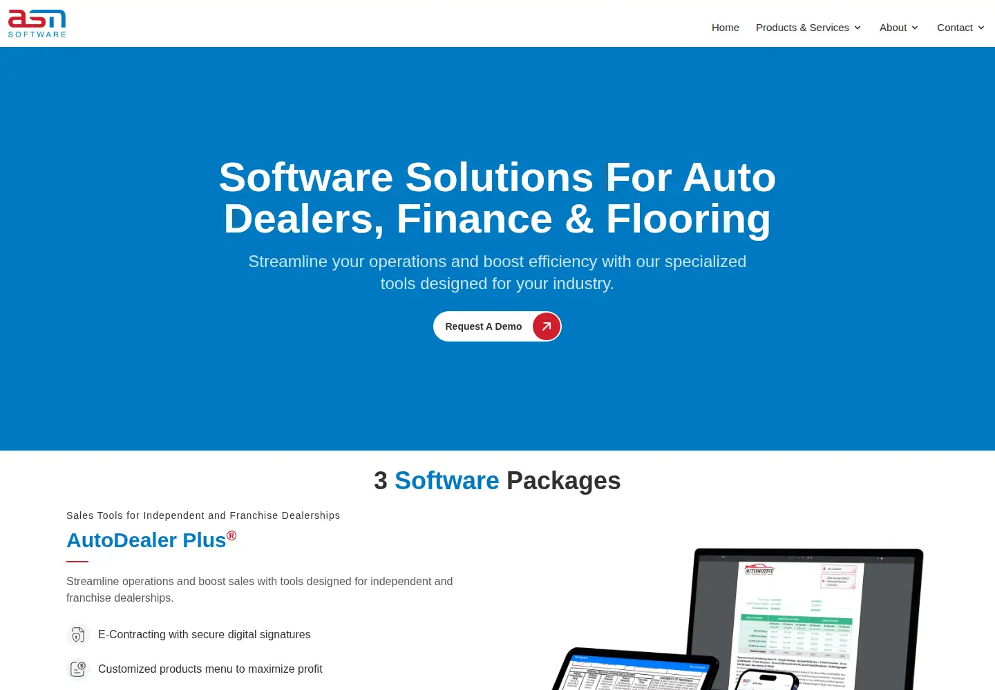 Captured homepage of asnsoftware.com in the current scan