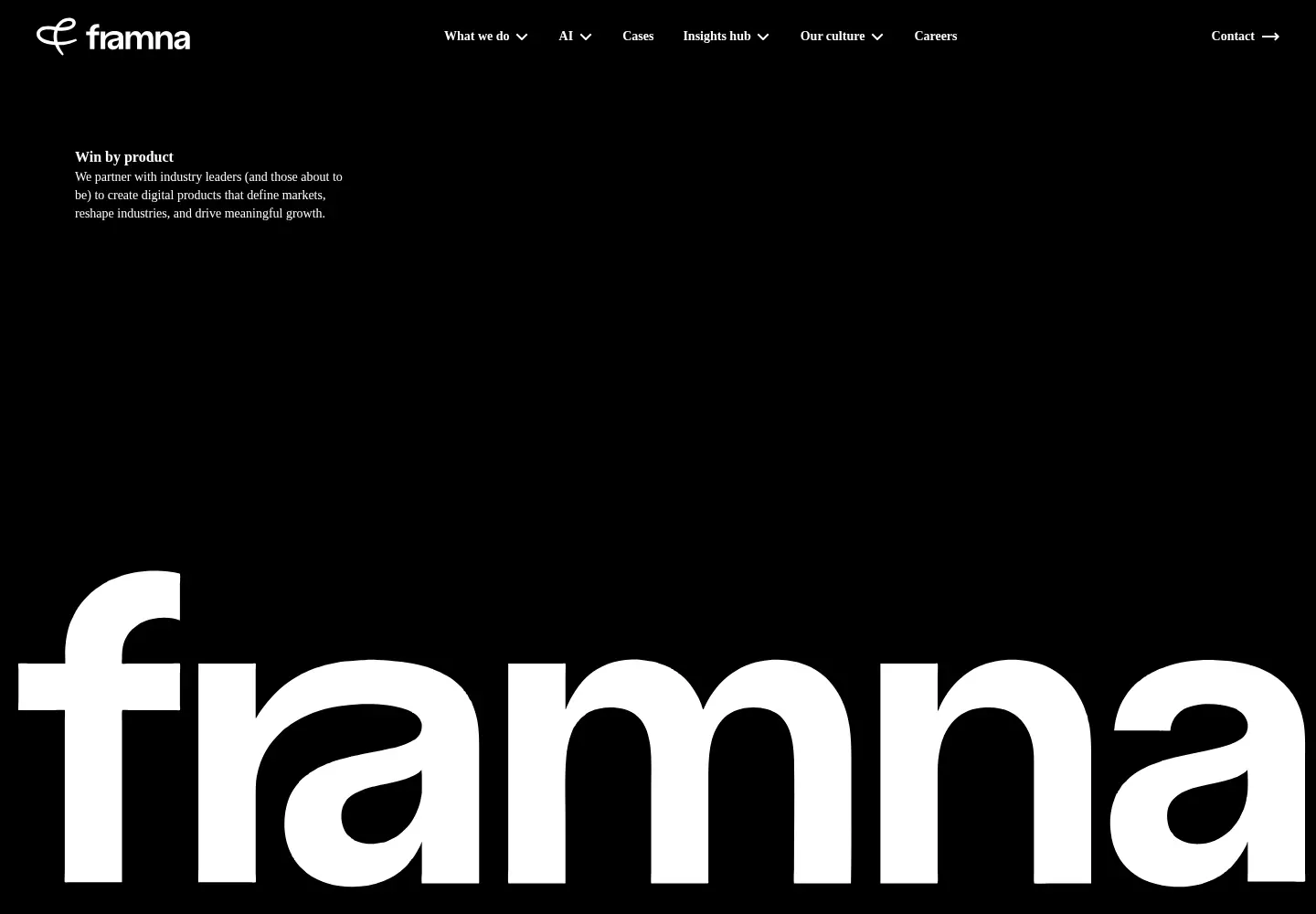 Captured homepage of framna.com in the current scan
