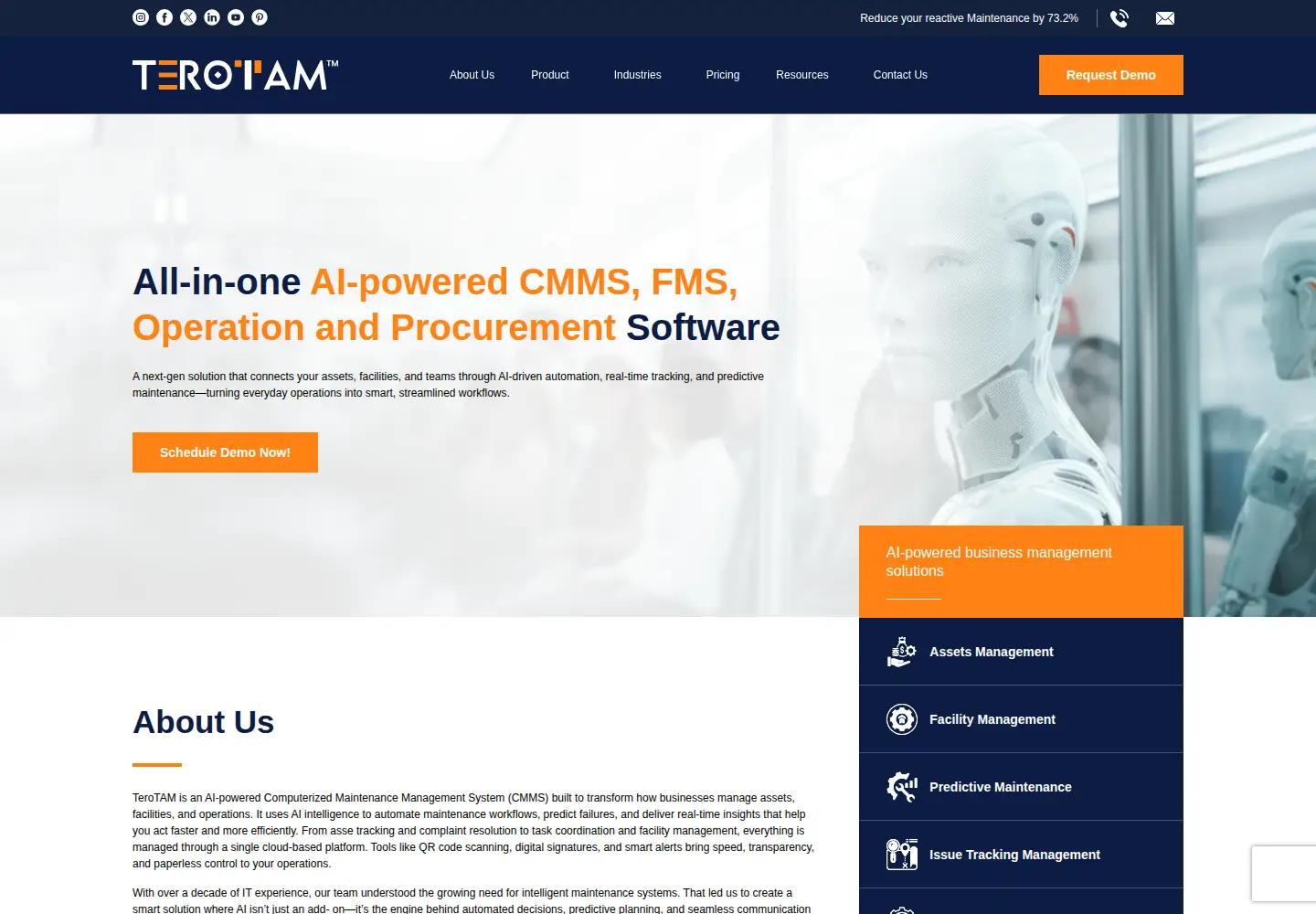 Captured homepage of terotam.com in the current scan