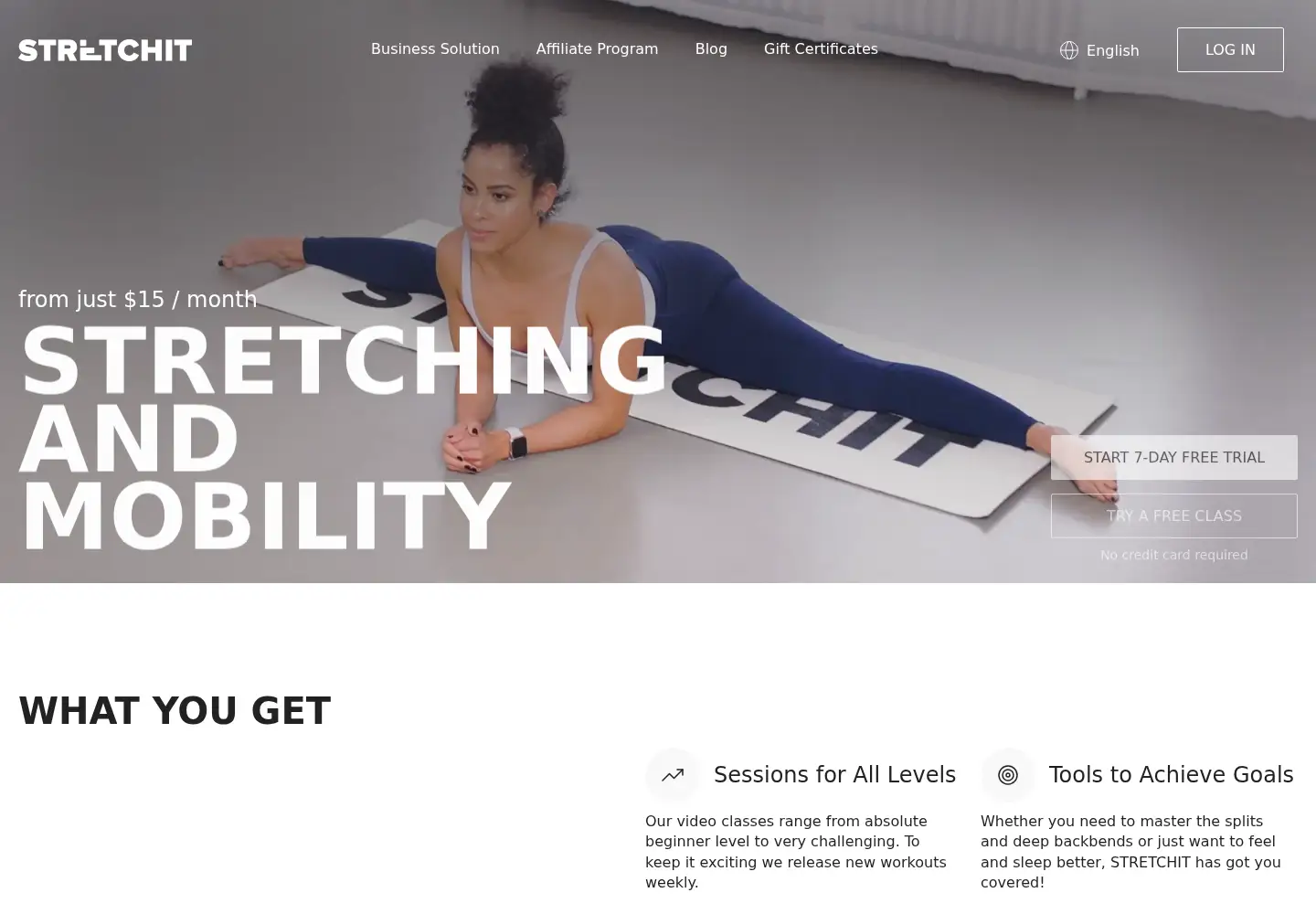 Captured homepage of stretchitapp.com in the current scan
