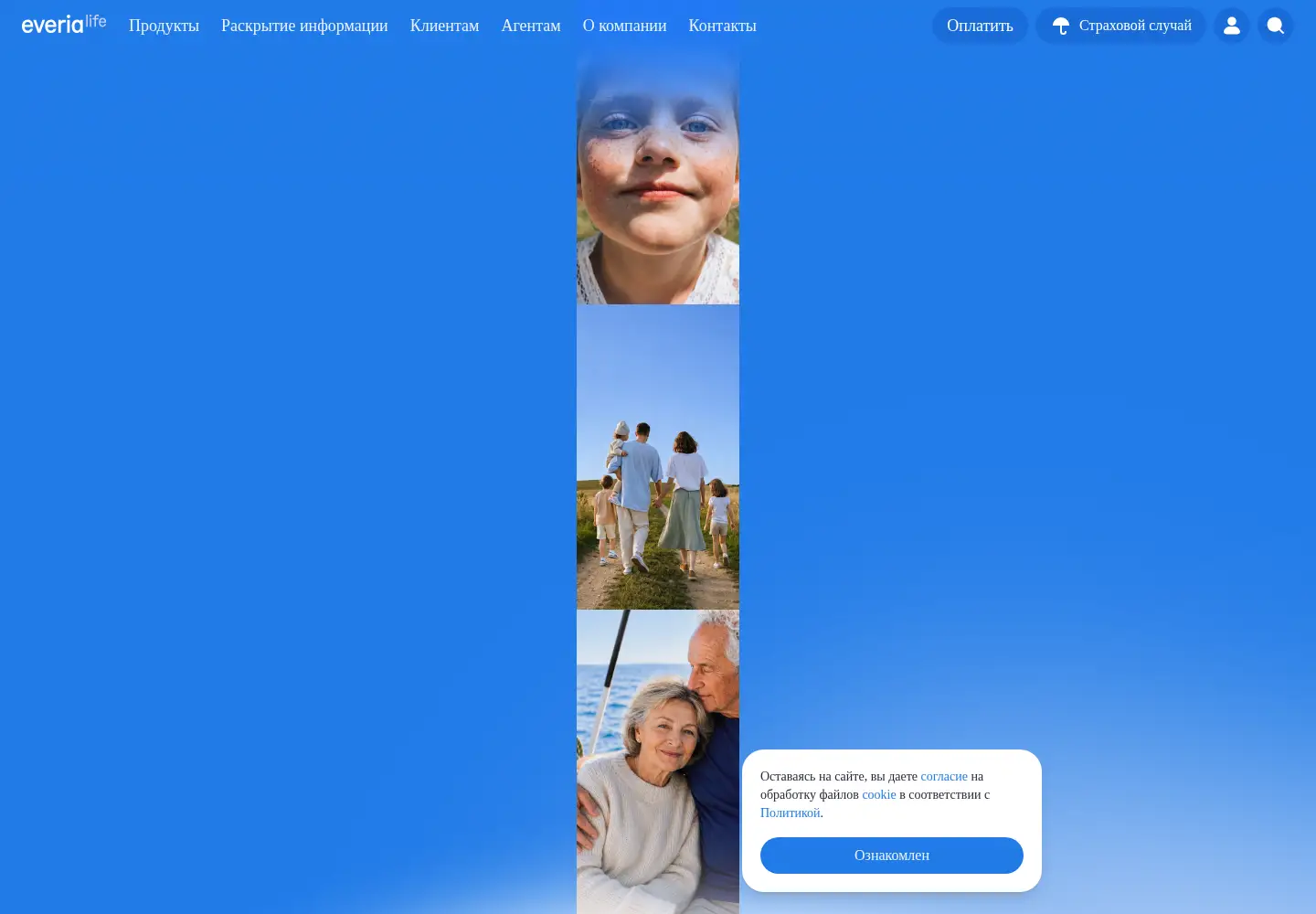 Screenshot of everialife.ru