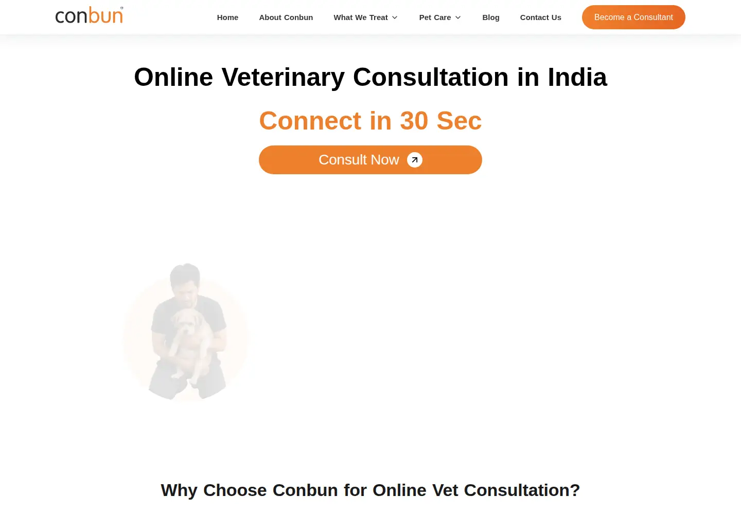 Screenshot of conbun.com