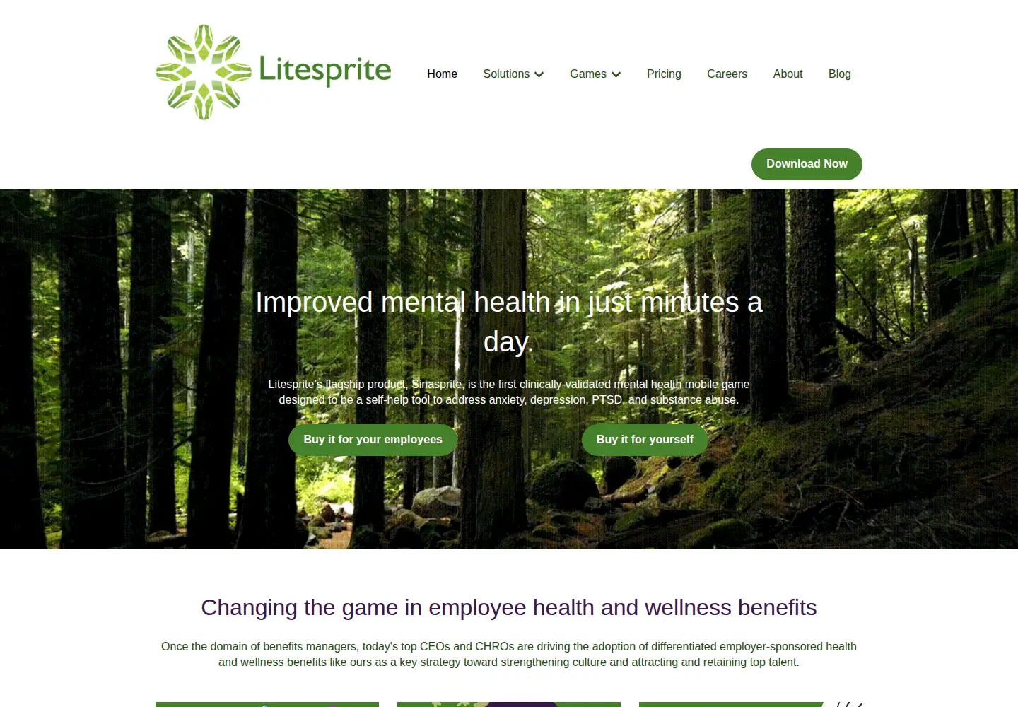 Captured homepage of litesprite.com in the current scan