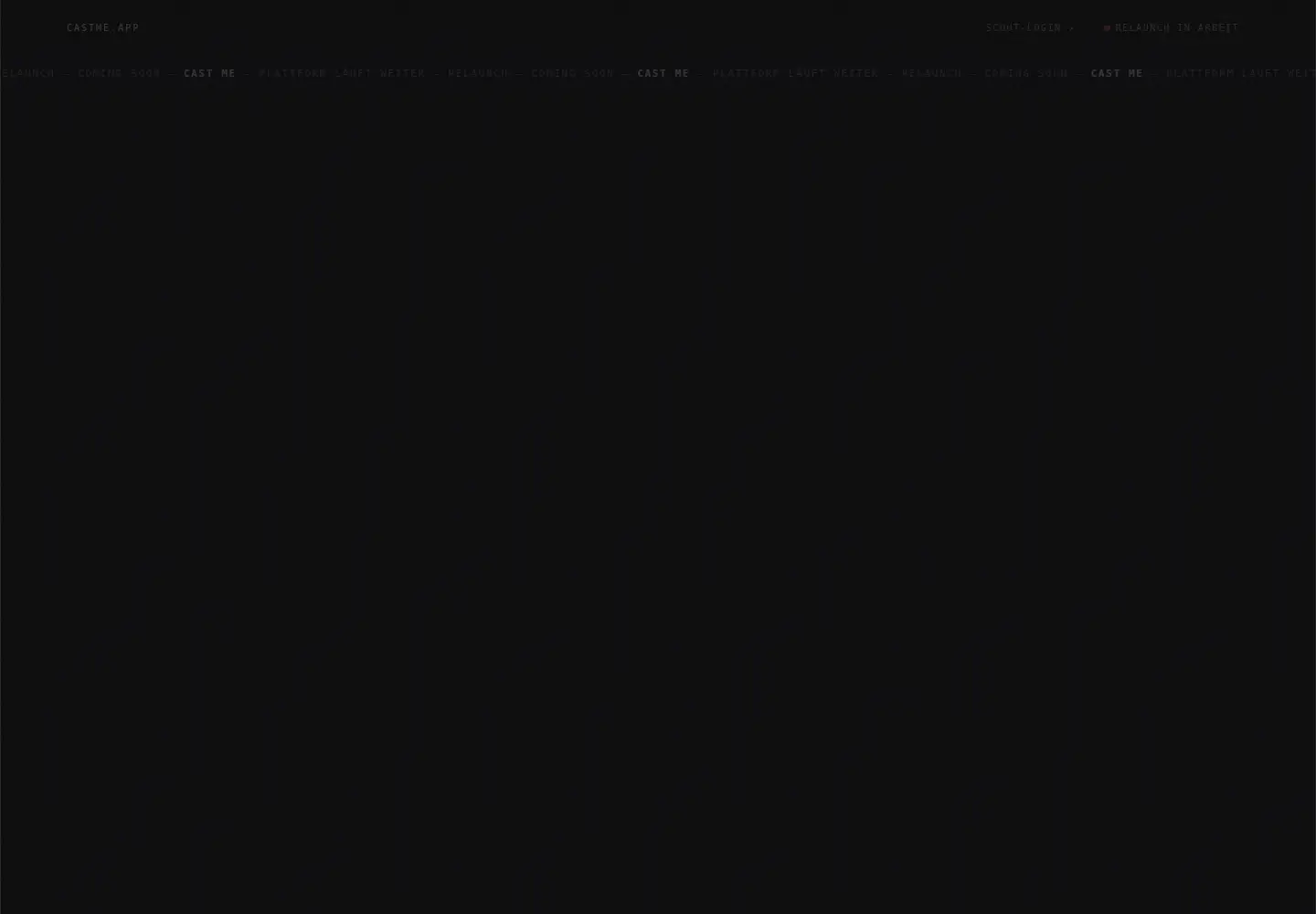 Captured homepage of castme.app in the current scan