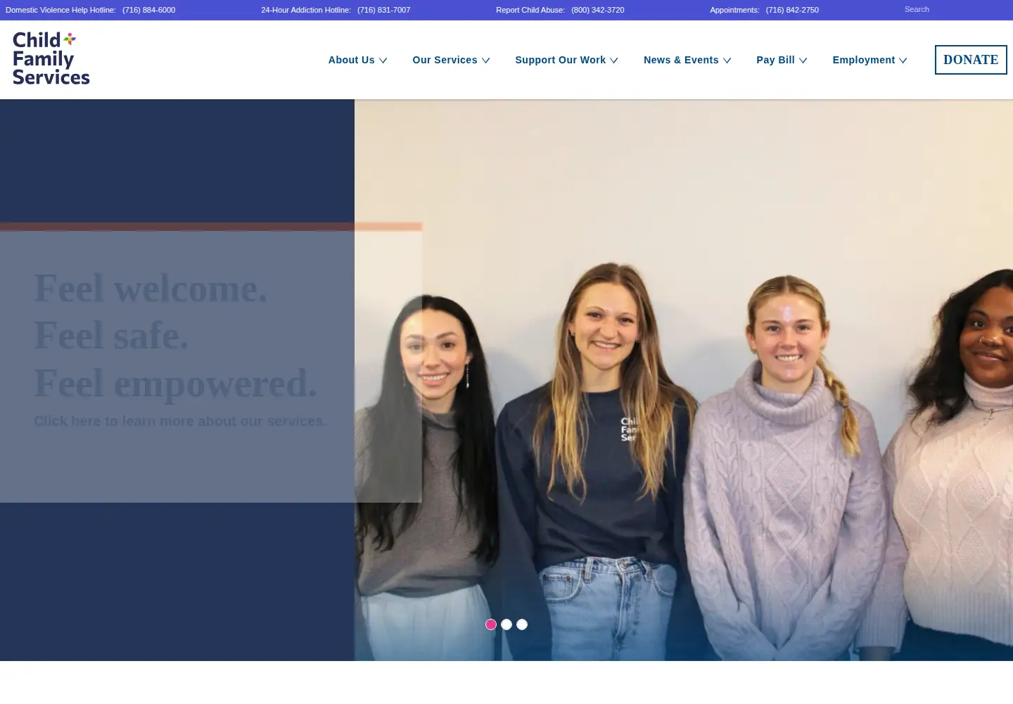 Screenshot of cfsbny.org