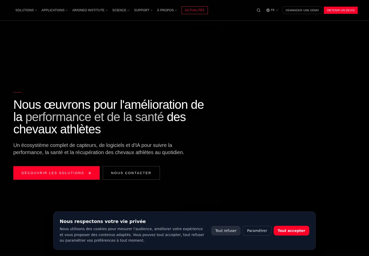 Screenshot of arioneo.com