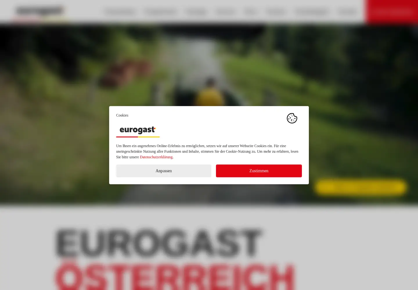Screenshot of eurogast.at