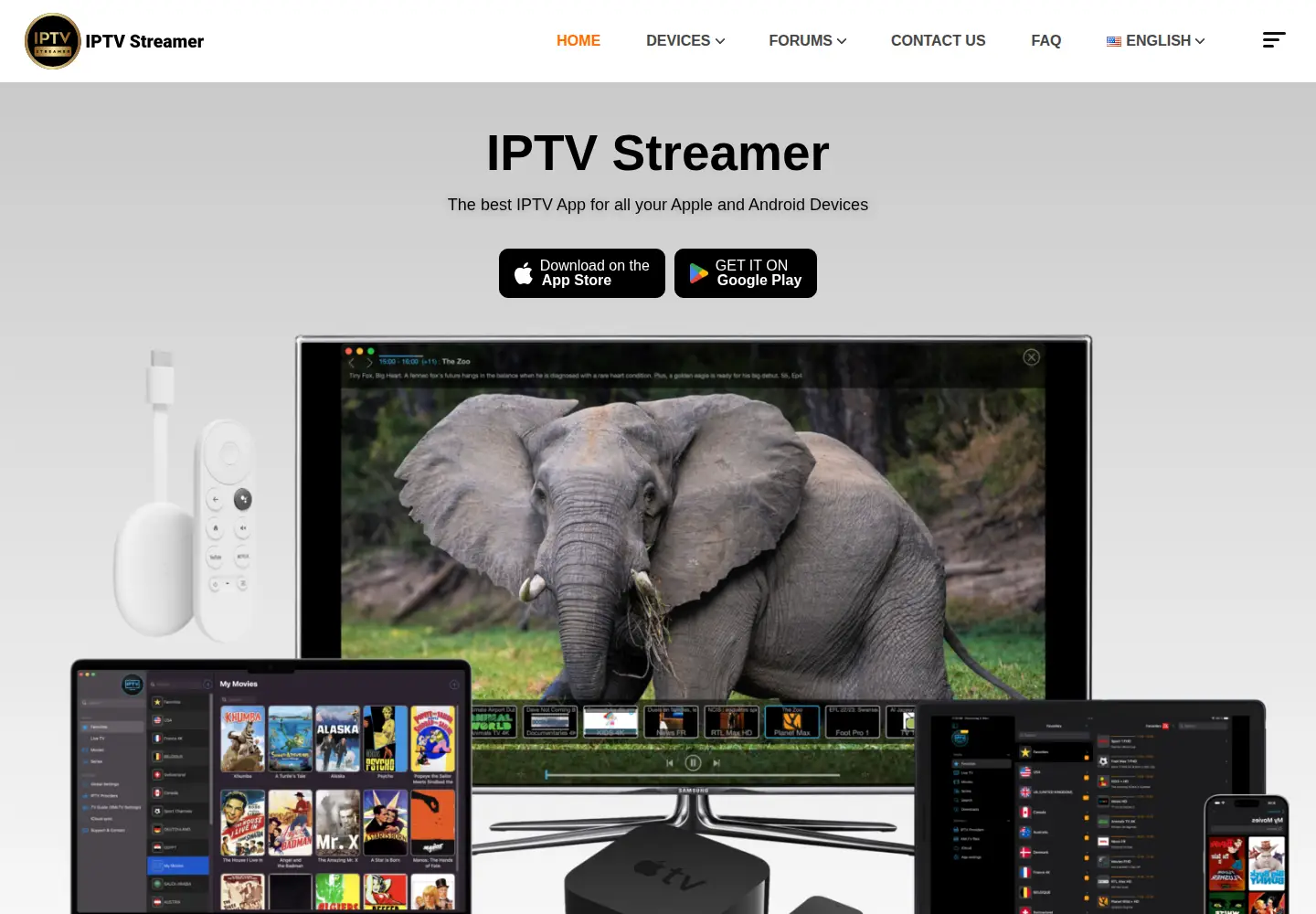 Screenshot of iptvstreamer.com