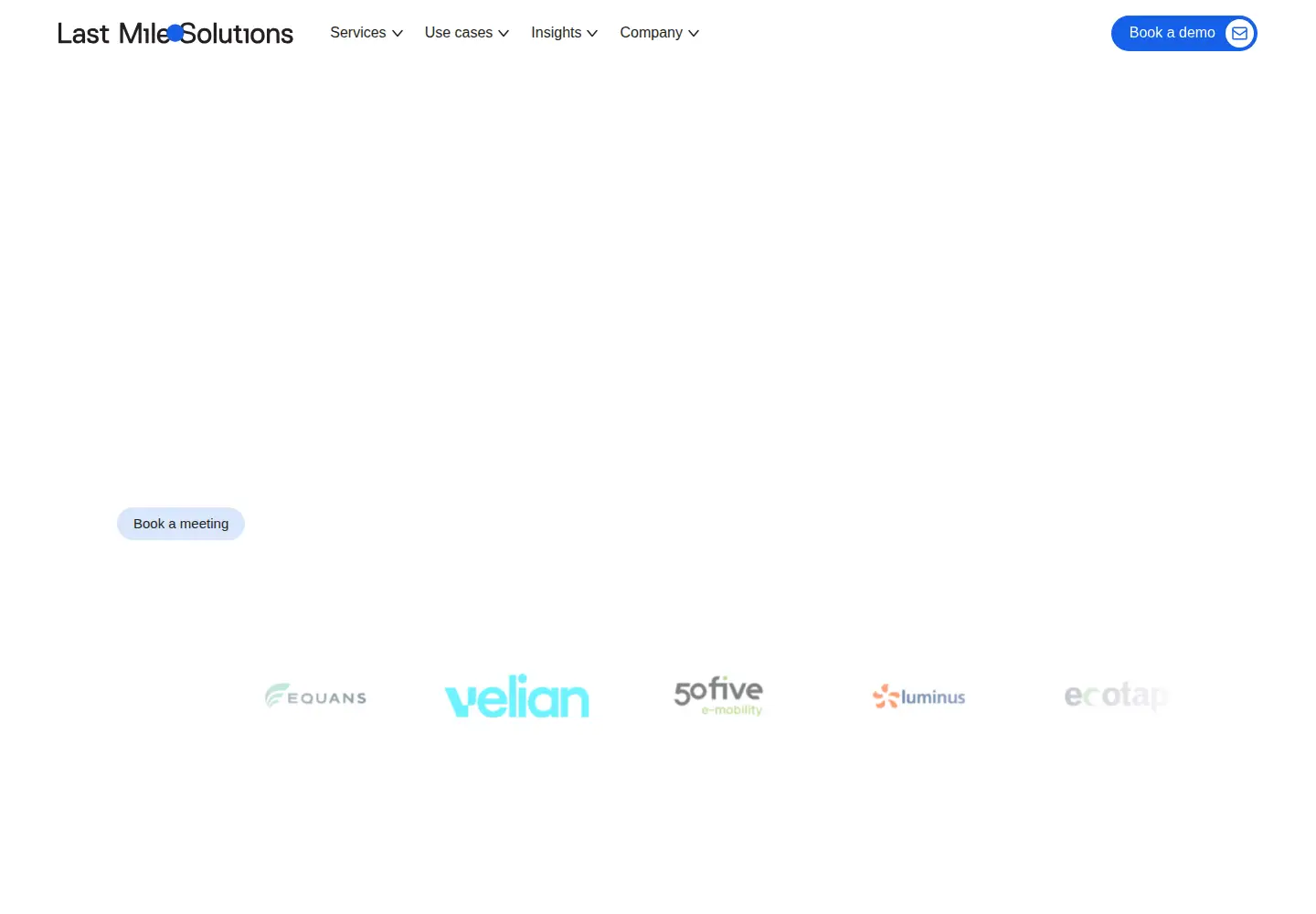 Screenshot of lastmilesolutions.com