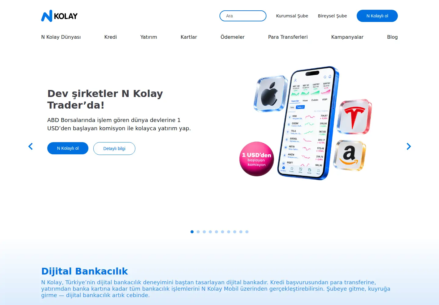 Captured homepage of nkolay.com in the current scan