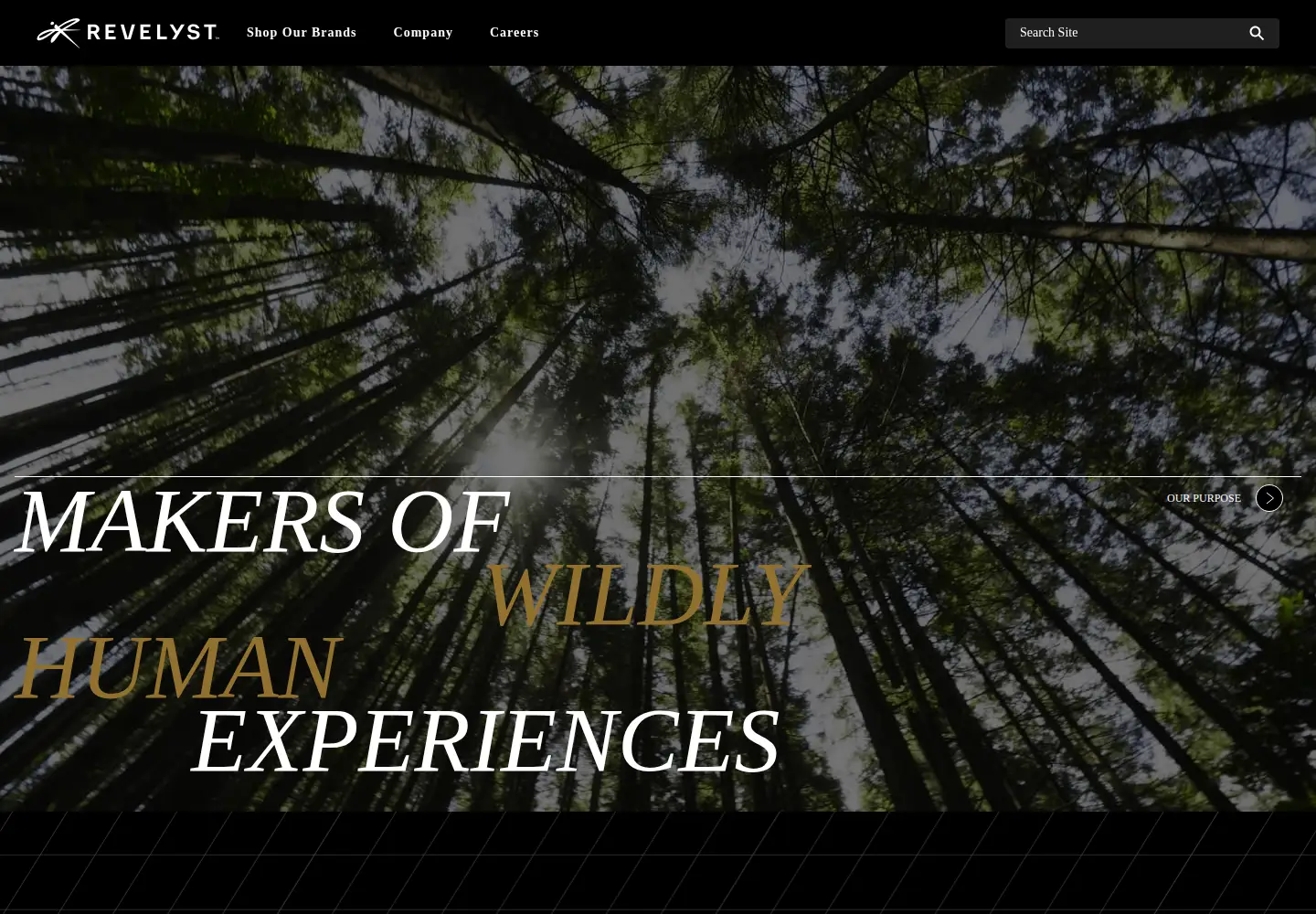 Screenshot of revelyst.com