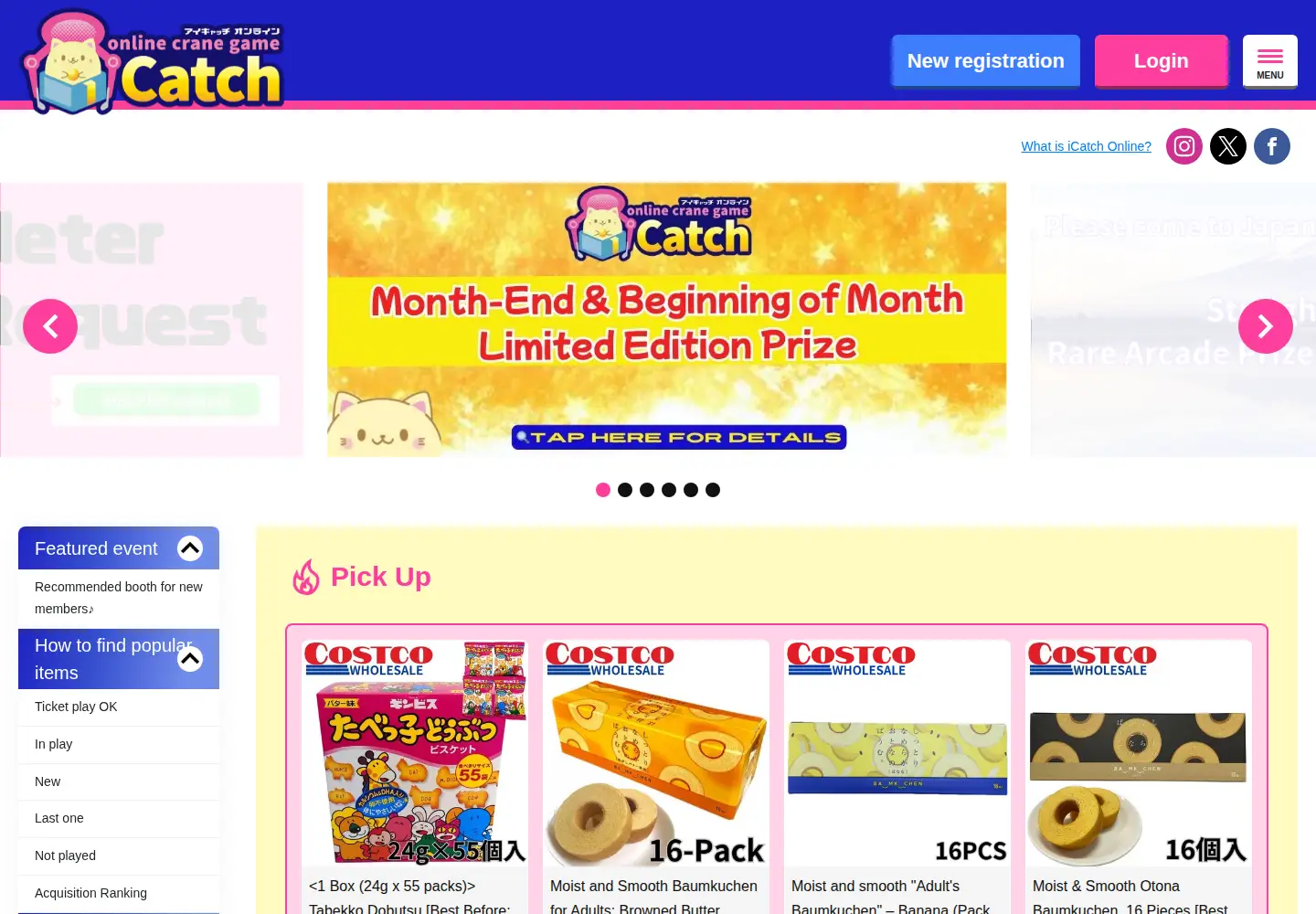 Captured homepage of icatch-online.com in the current scan
