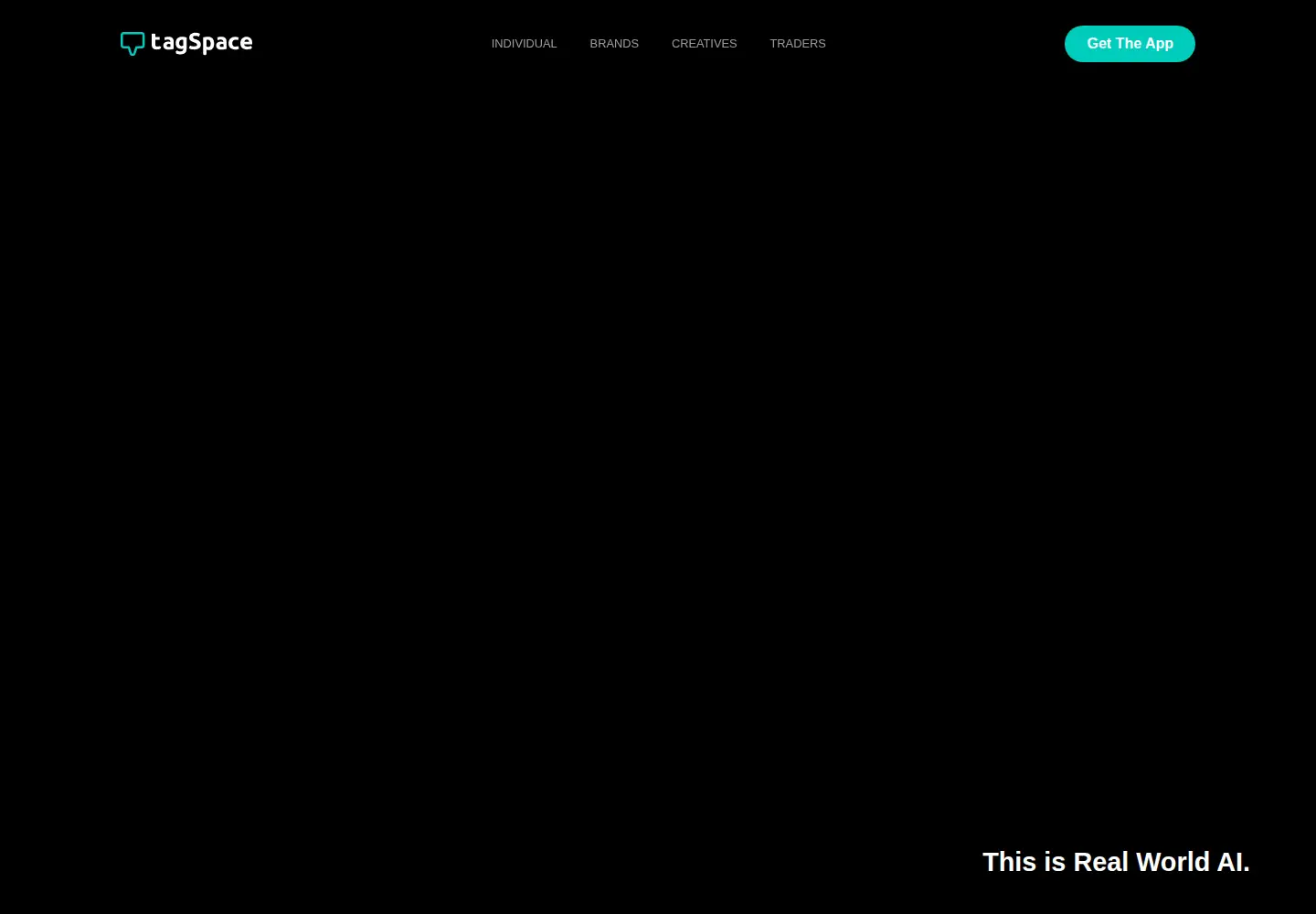 Screenshot of tagspace.com