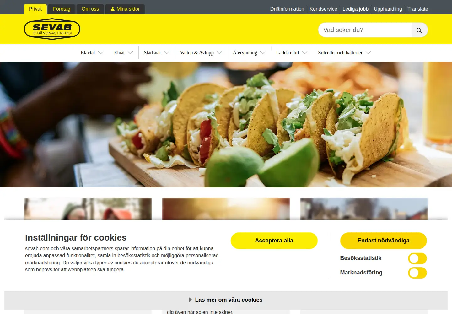 Captured homepage of sevab.com in the current scan