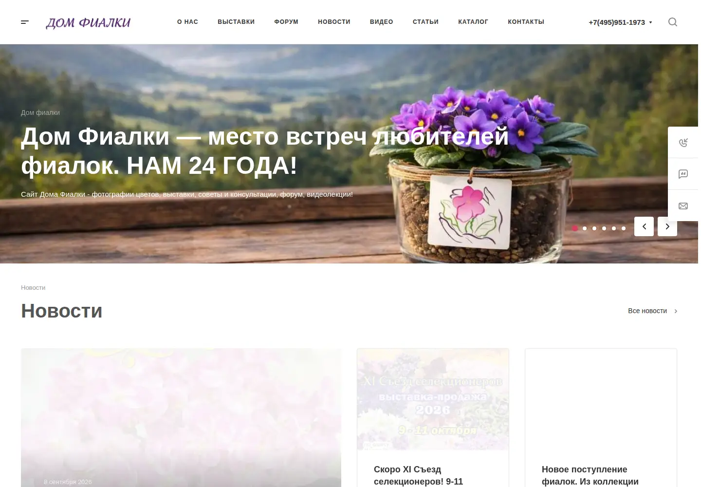 Screenshot of domfialki.ru