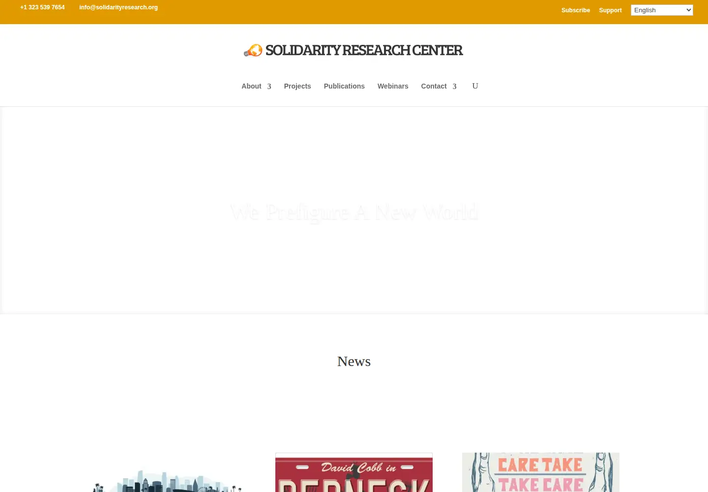 Captured homepage of solidarityresearch.org in the current scan