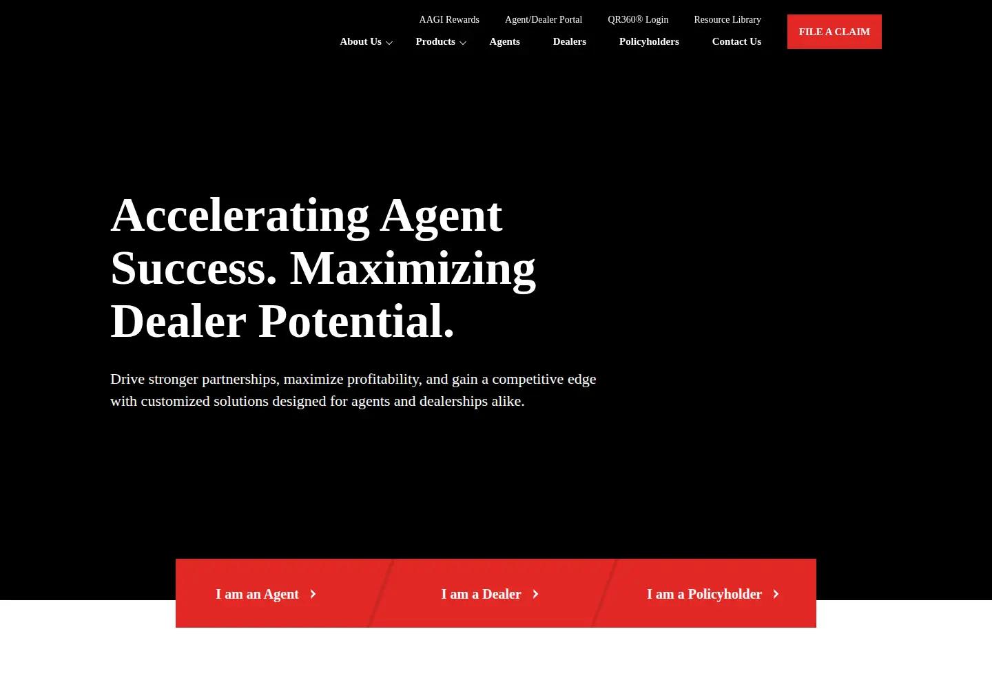 Screenshot of aagi.com