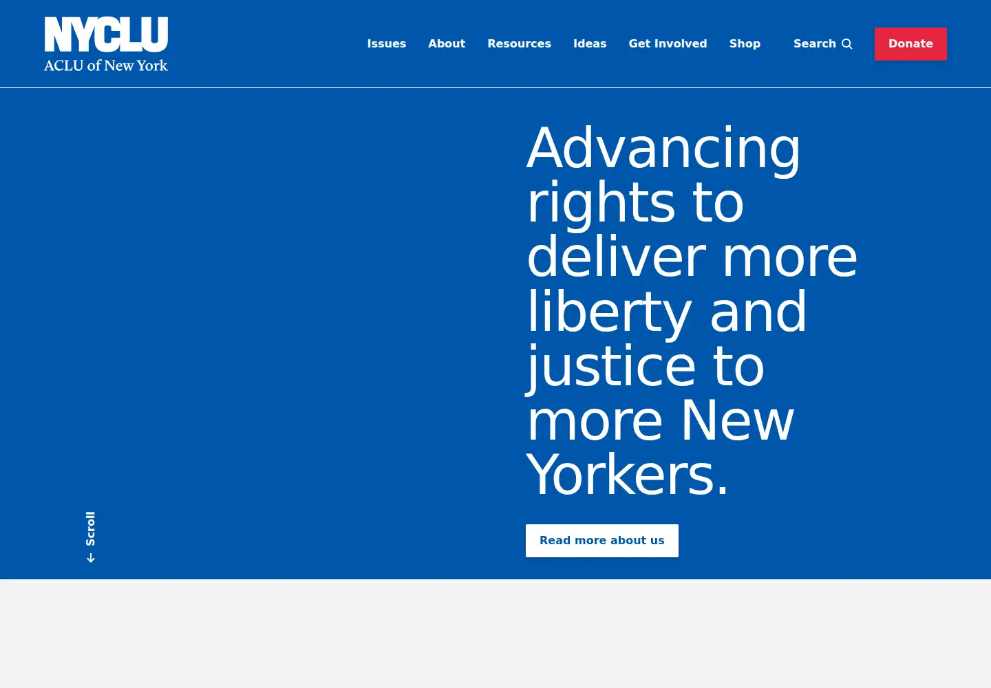 Screenshot of nyclu.org