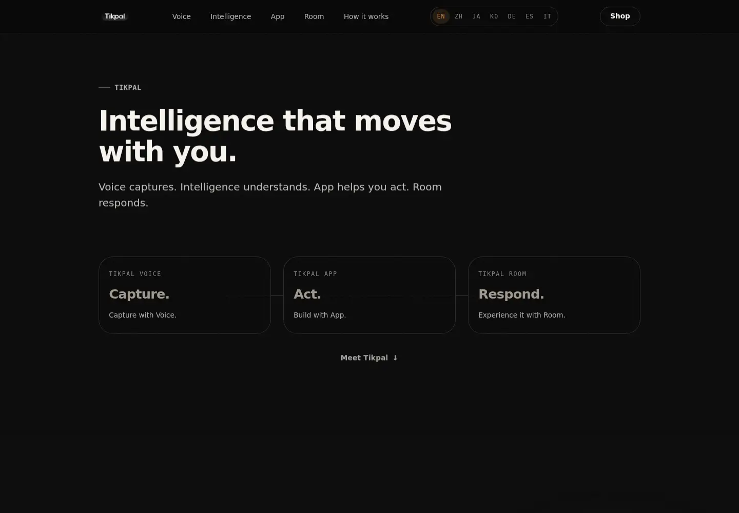 Captured homepage of tikpal.ai in the current scan