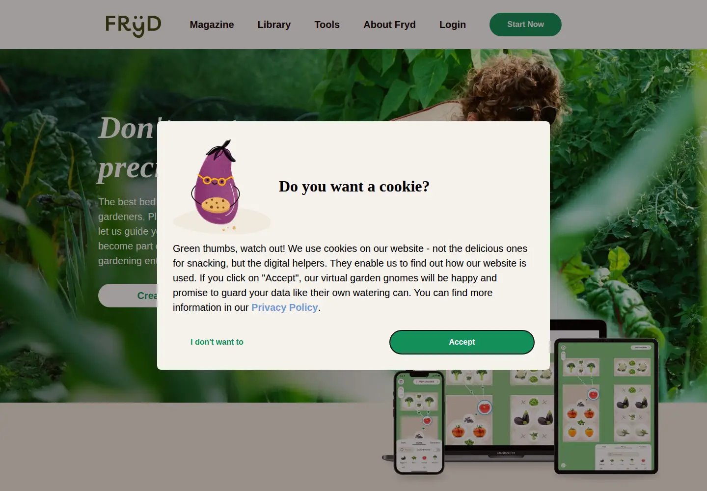 Screenshot of fryd.app