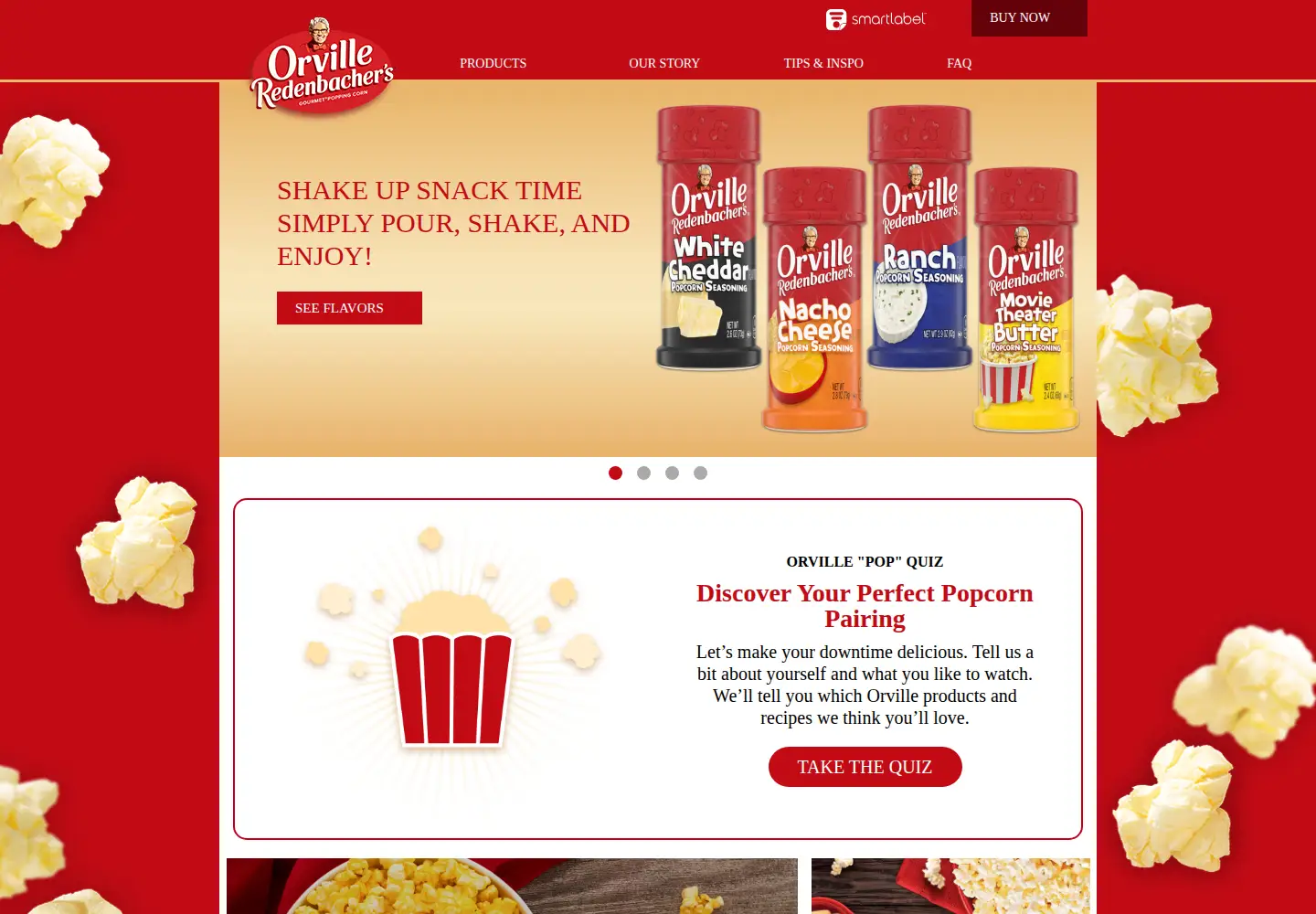 Captured homepage of orville.com in the current scan