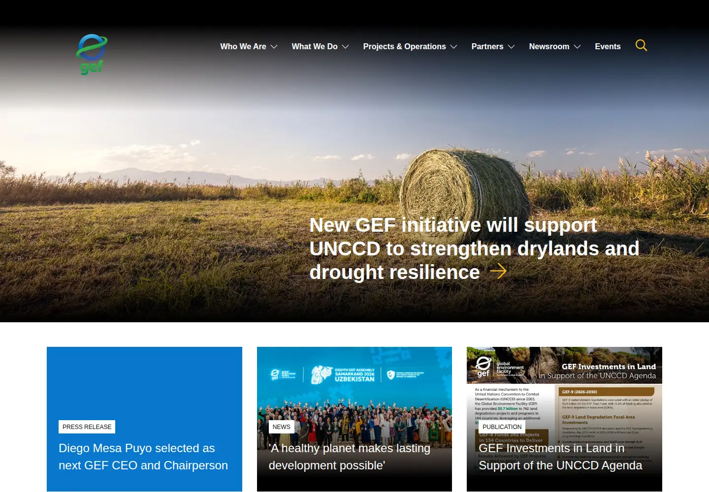 Screenshot of thegef.org