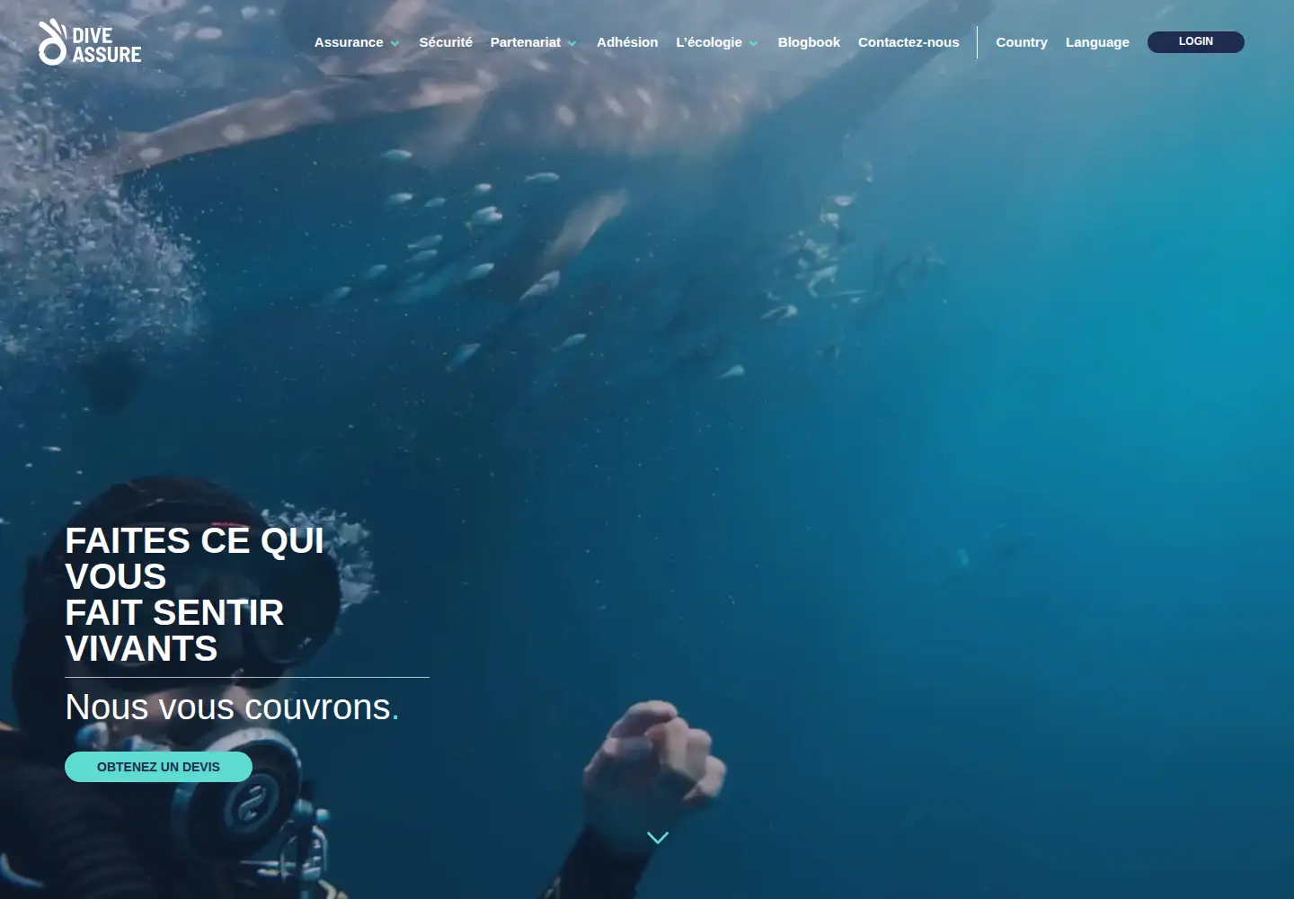Captured homepage of diveassure.com in the current scan